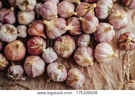 Close-up Garlic Bulbs And Garlic Cloves On Wodeen Background. Ga