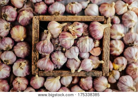 Close-up Garlic Bulbs And Garlic Cloves On Wodeen Background. Ga