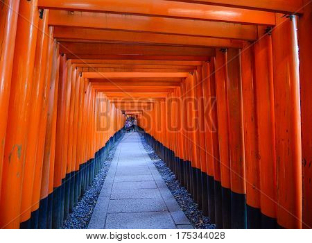 Torii Gates At Fushimi Inari Shrine In Kyoto, Japan