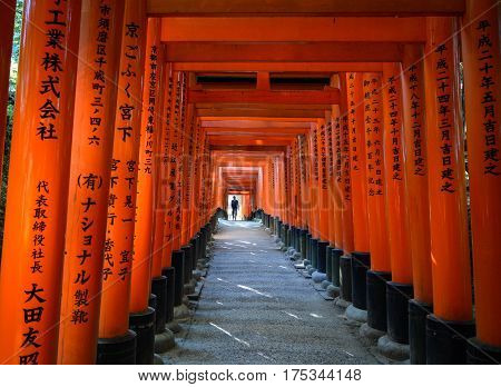 Torii Gates At Fushimi Inari Shrine In Kyoto, Japan