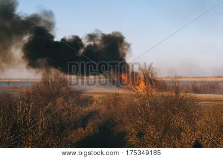 Strong prairie fire with large clouds of choking smoke erupted in southern steppe. Ecological catastrophy.