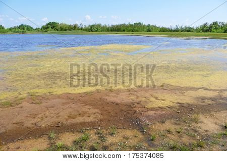 Sunny day river landscape
