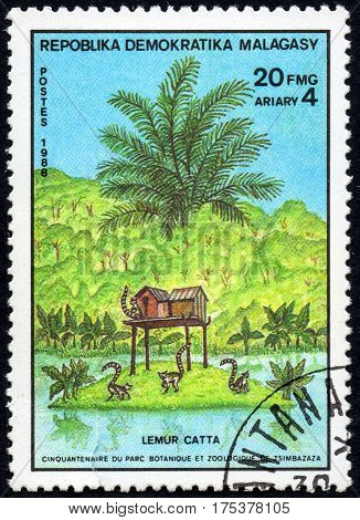 UKRAINE - CIRCA 2017: A stamp printed in Malagasy Madagascar shows Ring-tailed Lemur Catta serie Fiftieth anniversary of the botanical and zoological park of Tsimbazaza circa 1988