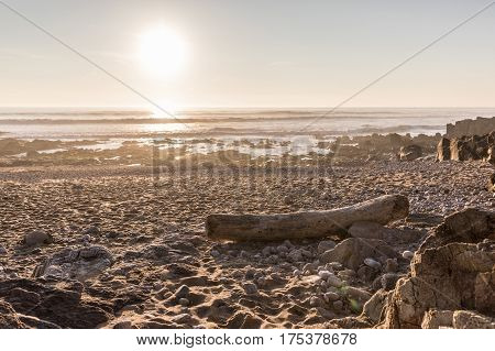 Natural bench in driftwood on the beach of Les Sables d'Olonne (France)