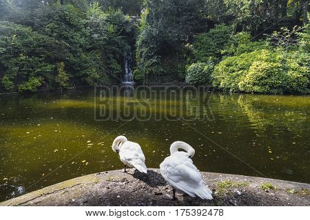 Varese (Lombardy Italy): Giardini degli Estensi historic park at october. Lake with cascade and swans