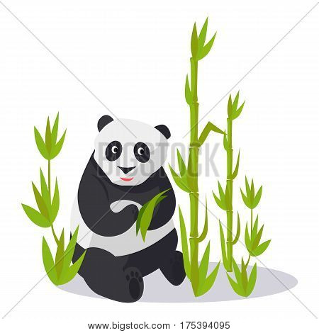 Panda sitting between young bamboo sticks holds green leaves. Vector illustration of isolated oriental white-black animal on white. Asian bear on glade with many greenish high bamboo plants.