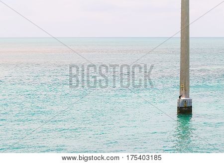 Power Pole With Comorant
