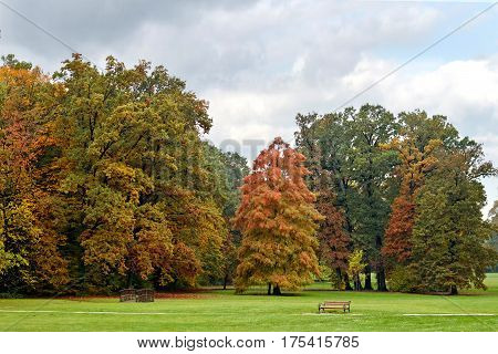 Autumn trees in Maksimir park in Zagreb Croatia