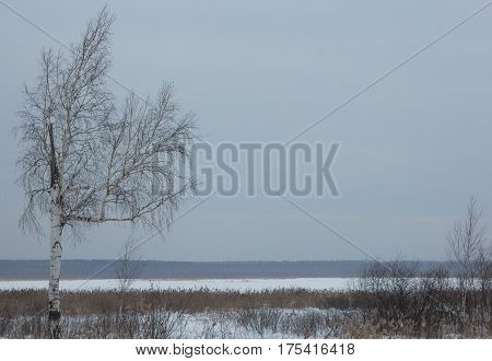 Landscape of Lake Shuvakish, Yekaterinburg, Middle Ural