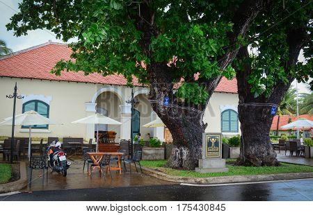 Old House With Huge Trees In Southern Vietnam