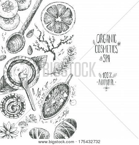 Hand drawn vector background, organic cosmetics, spa. Left composition. Natural herbal products, citrus, cucumber, zucchini, flower petals, chamomile almond Vintage engraving sketchy style