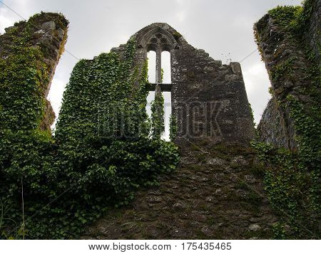 Window In Ruins Of Bridgetown Priory At Castletownroce In Cork County Ireland