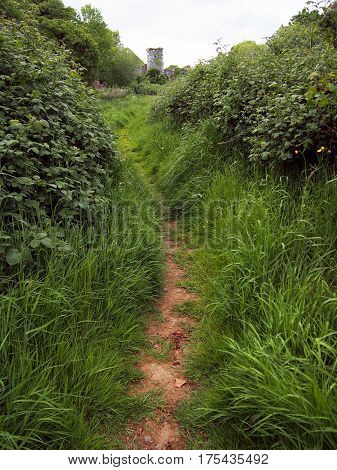 Path Through Grass To Stone Tower In Ireland