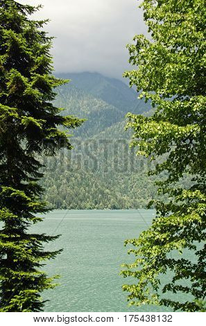 Alpine lake Ritsa in Abkhazia in the Caucasus mountains