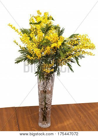 Mimosa in a vase on a white background. A beautiful spring bouquet. Yellow flowers.