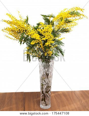 Flowers of mimosa in a high vase on the table. Isolated on white background. Spring bouquet. The symbol of spring.
