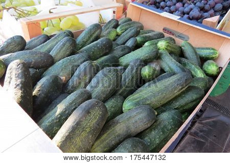 Fresh big cucumbers at the market in Bar-city, Montenegro