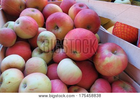 Fresh red apples at the market in Bar-city, Montenegro