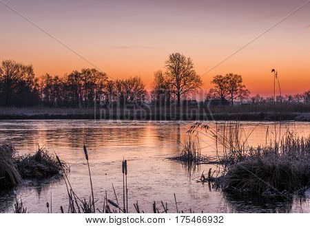Houses near Kalenberg during sunrise in wintertime with snow trees and lake in National Park De Weerribben-Wieden in The Netherlands.