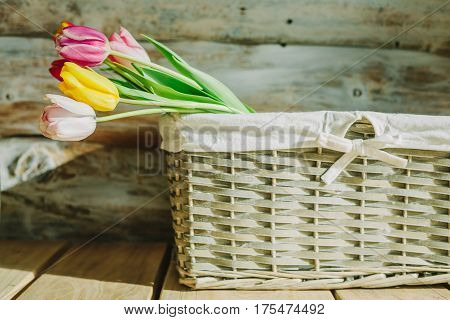 tulips in wooden backet. old baskground .