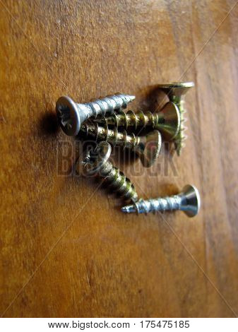 Self-cutter of small size on a background of wood