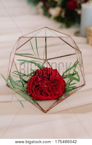 Beautifully abstraction with red flower in special glass prop