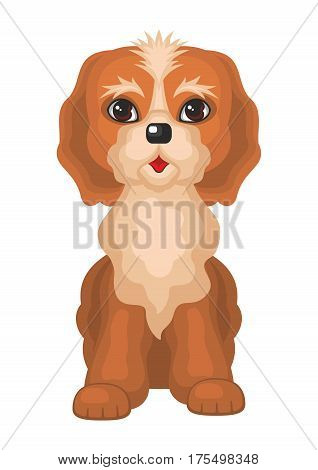 Cockerpoo. Vector image of a cute purebred dogs in cartoon style.