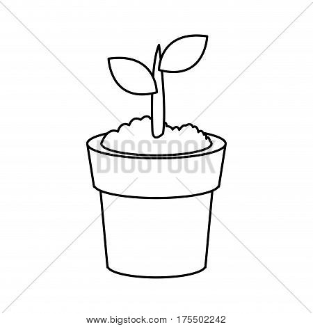 plant in a pot over white background. vecotr illustration