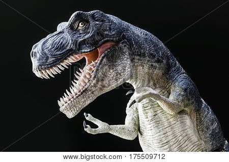 Fierce Tyrranosaurus Rex with large teeth wild eye and claws roaring against dark background dinaosaur model