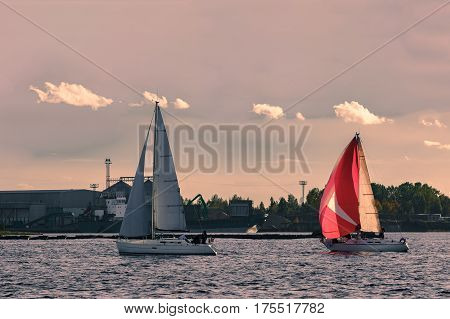 Sailboat Regatta On Daugava River