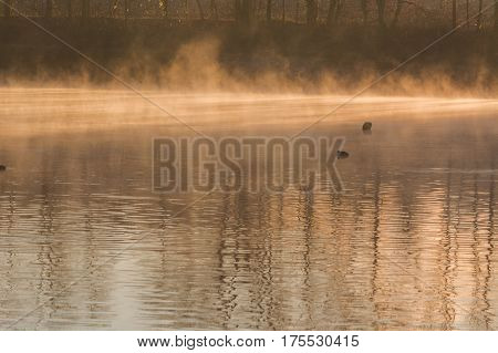 Morning fog and sun reflection on a small lake Abtskuecher pond called in Heiligenhaus Germany.
