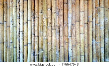 Row of old brown bamboo fence for background