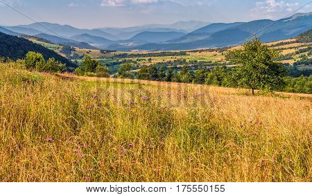 Agricultural Field In Mountains