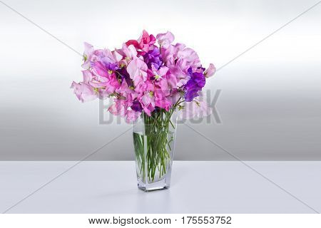 on white table flowers peas in vase