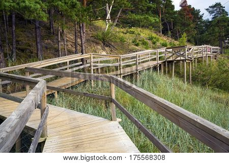 Wooden deck in the wood with observation decks. Latvia