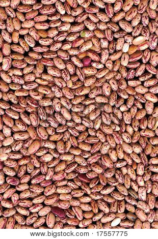 模式所作的扁豆豆