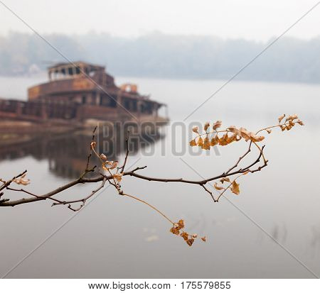 Autumn branch with yellow leaves and old rusty sunken ship in water in the background.