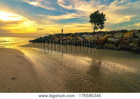 Silhouette of lone tree and kid at beach during sunset with copy space area. Composition of nature.