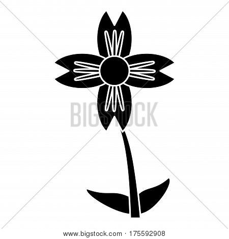 slihouette amaryllis flower natural vector illustration eps 10