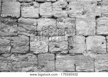 Shell Rock Background