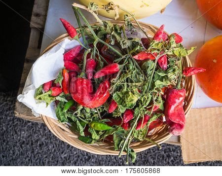 A basket of fresh red pepper. Green