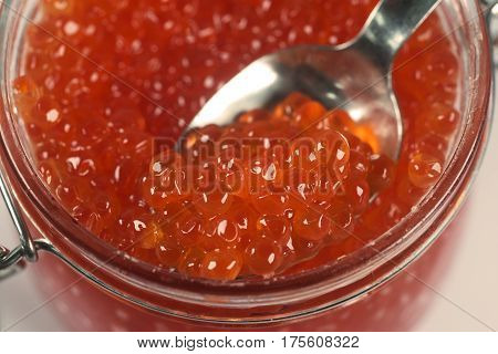 Caviar of salmon fish species, such as: Pacific salmon - pink salmon, keta, sockeye salmon, coho salmon, Atlantic salmon, trout