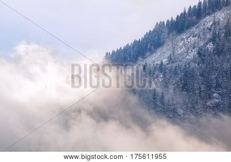 mountain in morning fog in Alps Germany
