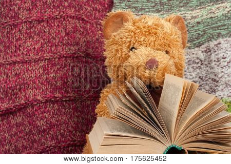 Back to school. Knitted blanket. Teddy bear reading a Open hardback book. Copy space for text