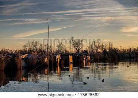 Massaciuccoli, Lucca, Tuscany, Italy - Nature Reserve Oasis Lipu
