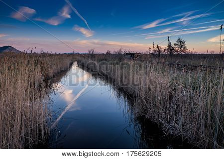 Massaciuccoli, Lucca, Tuscany, Italy - Nature Reserve Oasis Lipu