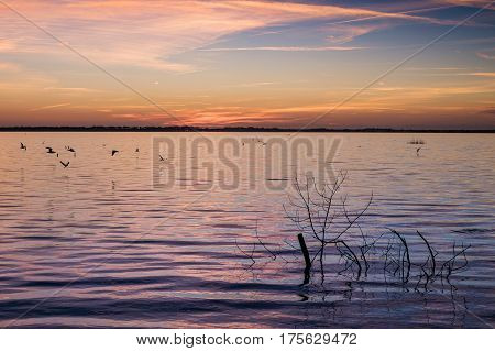 Massaciuccoli, Lucca, Tuscany, Italy - Nature Reserve Oasis Lipu