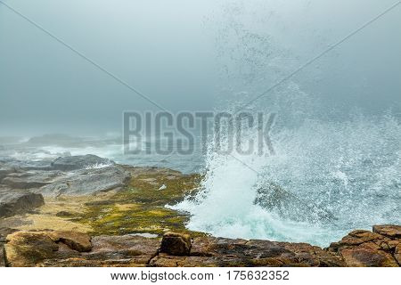 Foggy Morning On Schoodic