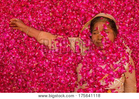 Vrindavan, India - March 21, 2016: An Indian widow celebrating Holi, the Hindu spring festival of colours, at Gopinath Temple in Vrindavan, Uttar Pradesh, India.