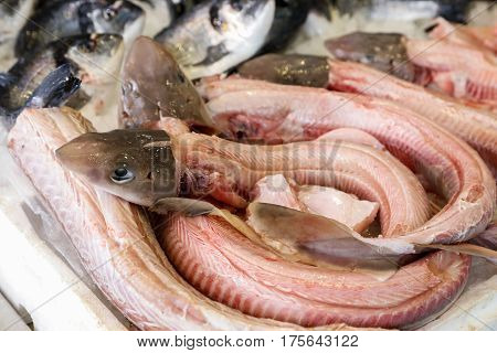 Mustelus or smooth-hounds genus of sharks in the family Triakidae in the box on the counter at the greek fish market. Horizontal.